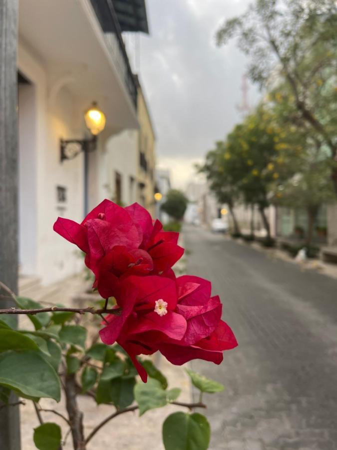 Vbermor Hotel Santo Domingo Kültér fotó